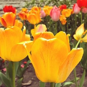 Meet your Posher, Gloria